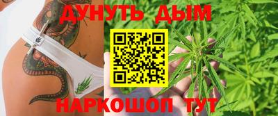 apvp Кингисепп