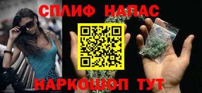 apvp Кингисепп