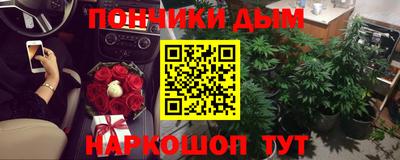 apvp Кингисепп