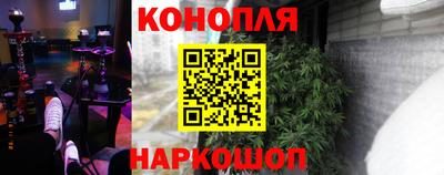 spice Кинель
