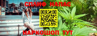 spice Кинель