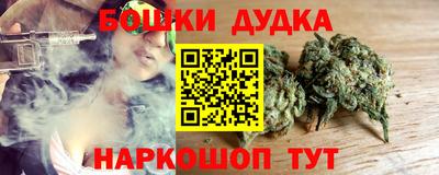 apvp Кингисепп