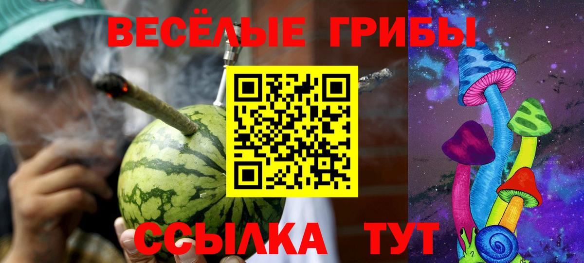 Кулебаки  Галлюциногенные грибы Psilocybe  Вход с VPN 