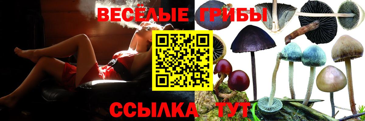 Псилоцибиновые грибы Psilocybine cubensis Кулебаки